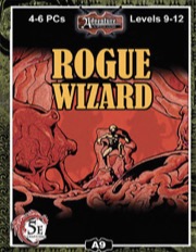5E A09: Rogue Wizard (5E) PDF