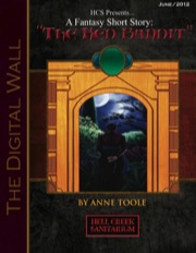 The Digital Wall: The Red Bandit PDF