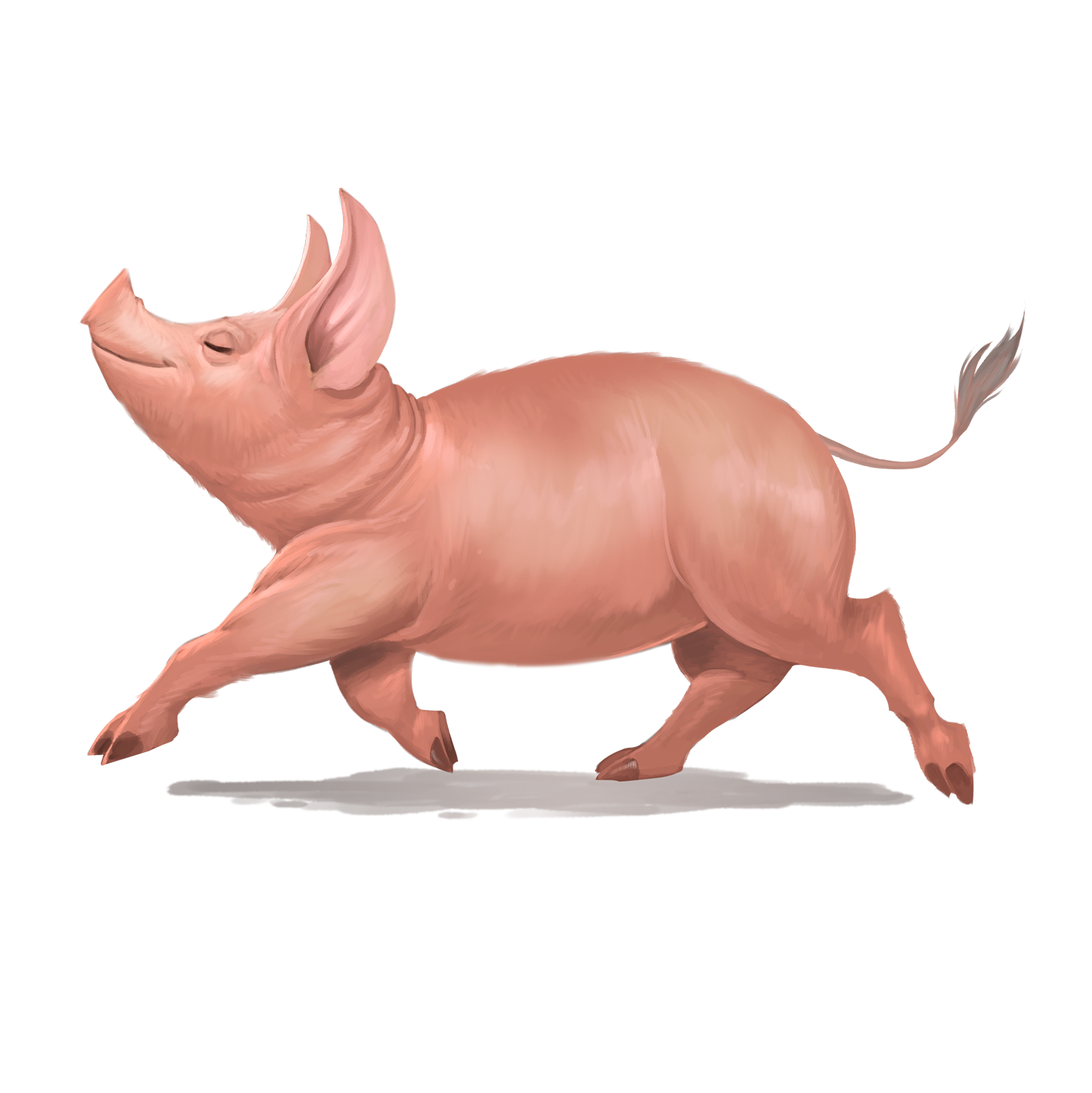 Illustration by Kiki Moch Rizky: A pink pig trotting with its nose in the air