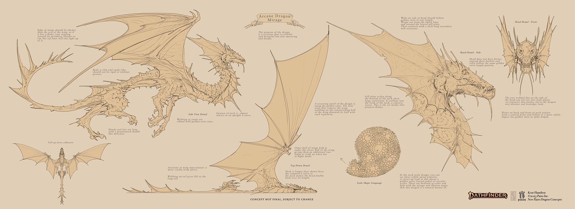 Concept art for the mirage dragon. This lithe dragon has a long neck and massive webbed fins on the side of its head