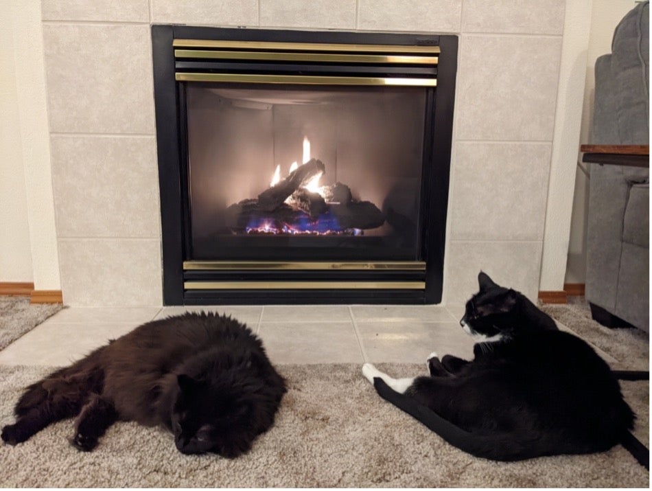 An all black cat and a black and white cat sitting in front of a lit fireplace