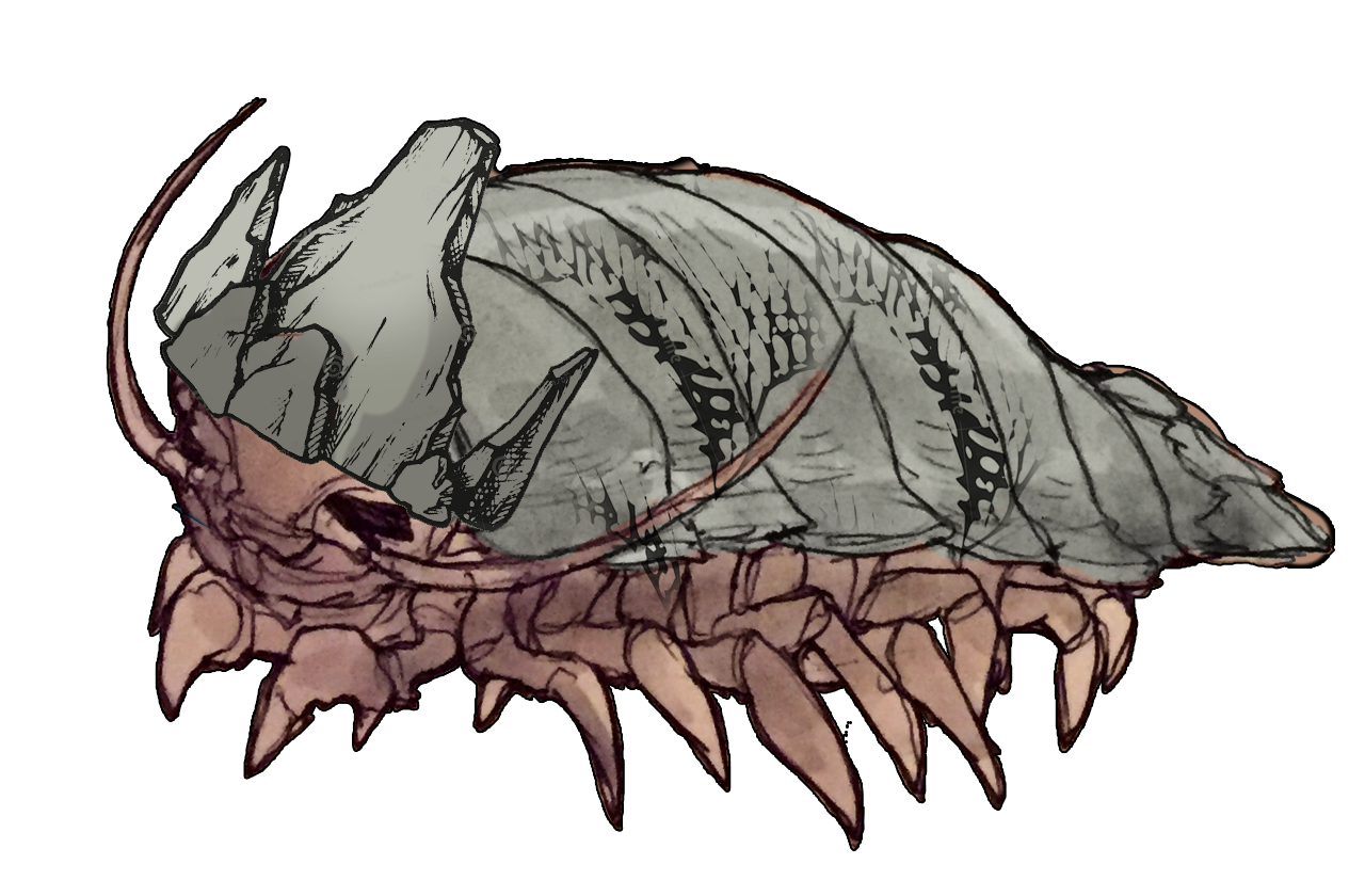 To Graven Grotto - Deep Ocean Monster Encounter for D&D 5E