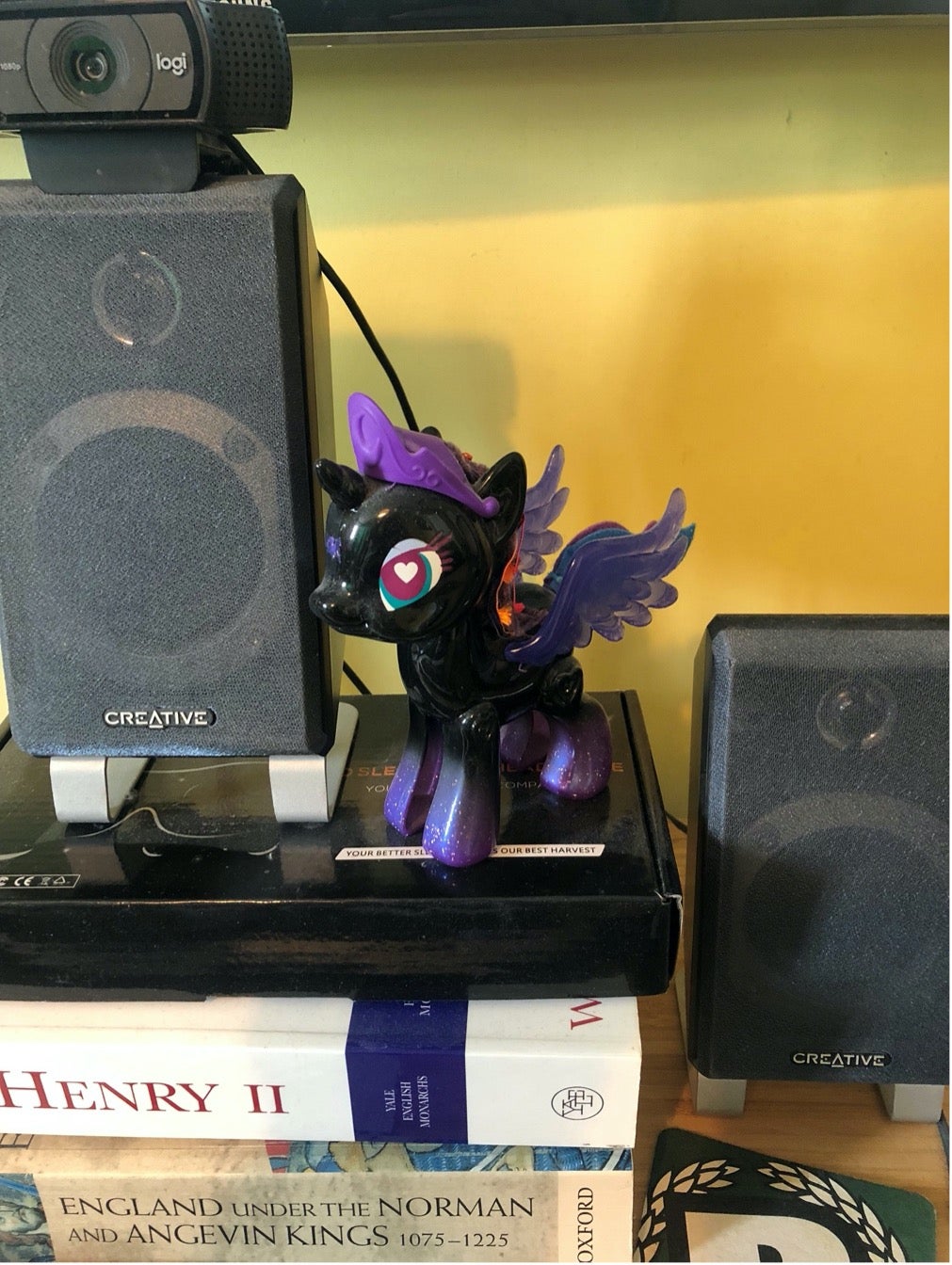 A small figurine of a black and purple unicorn sitting on top of a pile of books