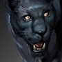 Panther