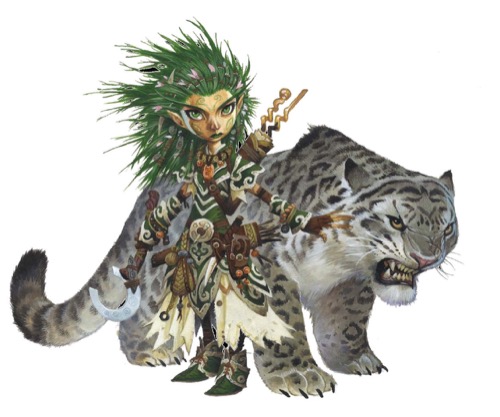 Linni, the iconic gnome druid, and her snow leopard companion Droogami.