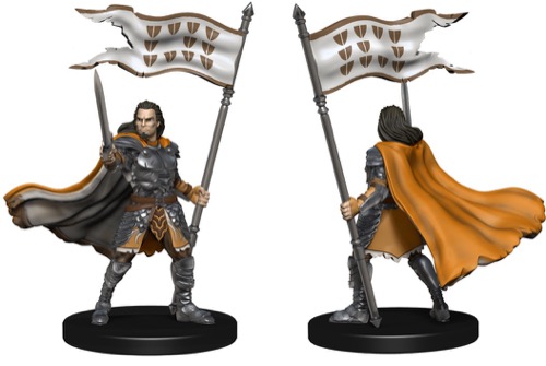 Valerie, Human Fighter - Kingmaker #36 Pathfinder Battles D&D Paladin  Miniature