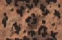 MMY0051E