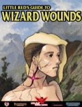 Wizard Wounds PDF