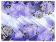 Battlemap: Snowy Forest