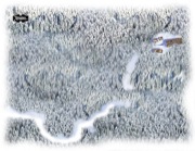 Snowy Forest Trail