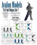 Avalon Models—Tri-Frame: Ninjas, Set 1 PDF