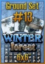 Ground Set #13: Winter Forest PDF