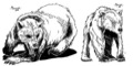 Stock Art: Zombie Bear and Bearskin Rug Guardian PDF