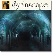 SYR-DISJUNCTION-CHAMBER