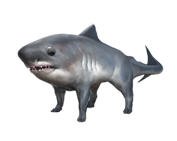 Baby Brine Shark - artist Riley Spalding : A young brine shark, still with its feet.