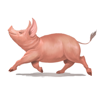 Illustration by Kiki Moch Rizky: A pink pig trotting with its nose in the air