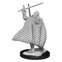 The back of a miniature of a long haired, armored, elf. Holding two swords, one high over head