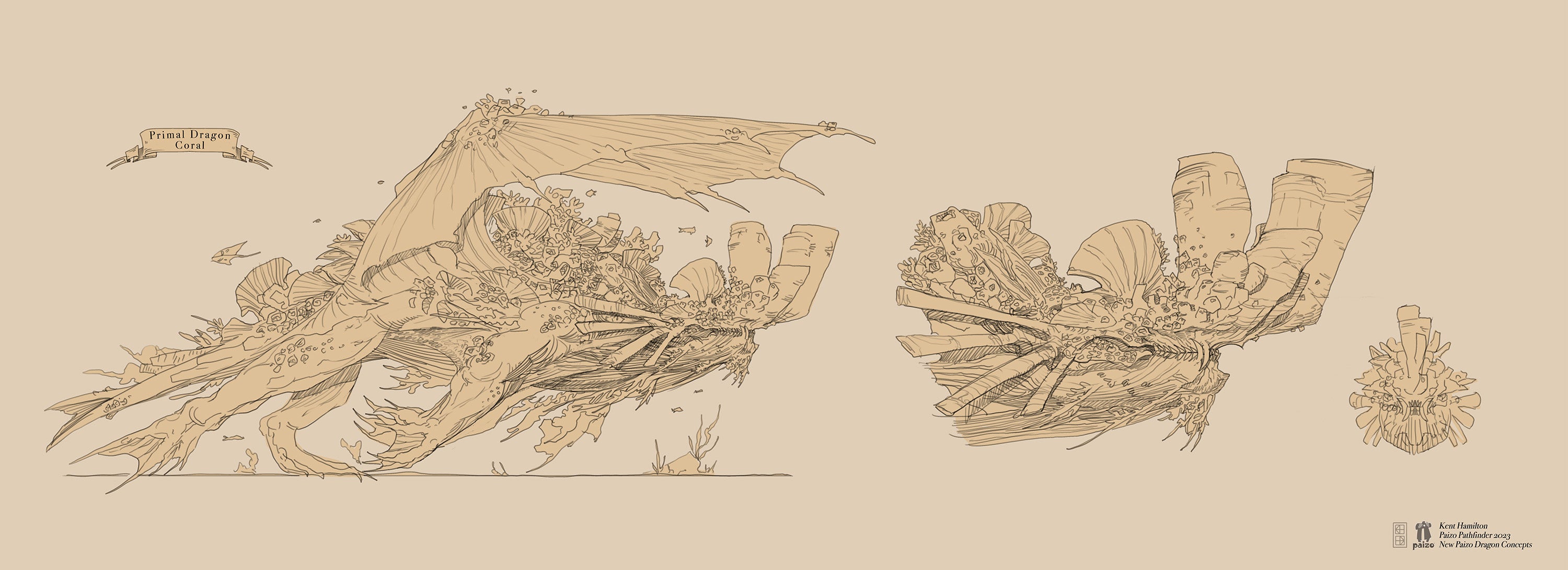 Coral Dragon Concept, artist Kent Hamilton: A sketch design of a coral dragon, a bulky aquatic dragon covered in massive coral reefs and sea sponges. The sketch includes a close-up look of the dragon’s head.
