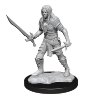 A long haired, armored elf, standing at the ready with a sword in one hand and a dagger in the other