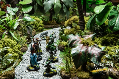 The players mini figures on a path through a densely wooded jungle map